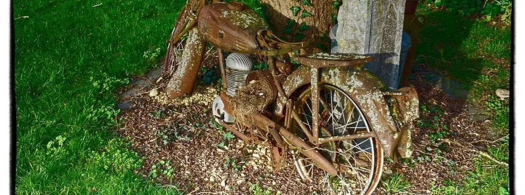 Moto Jelcz Nigdy Nie Zgnie