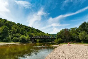 Karpaty Lwów - St. Patrick's